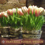 fantasiafloraldesign