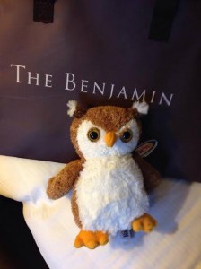Benjamin the Owl