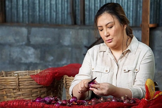 In ‘Ang Pamilyang Hindi Lumuluha,’ Sharon Cuneta goes indie and mature.