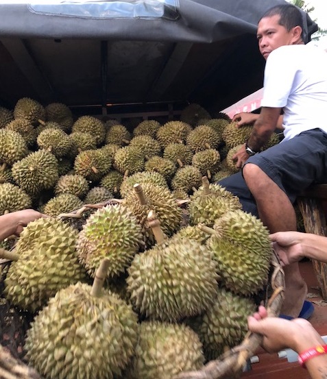 Durian is one of Davao’s top money earners.
