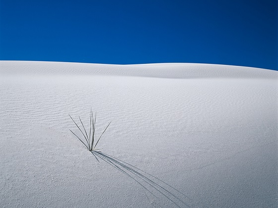 White Sands, 2nd place winner in Austria 